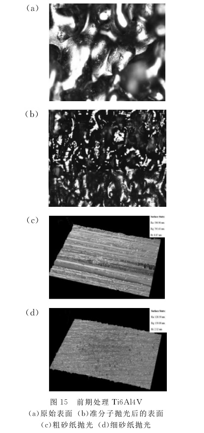 1649990981993037.jpg t15.jpg