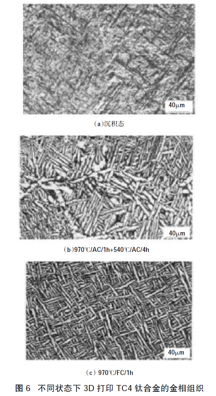 1660661268723877.jpg t6.jpg