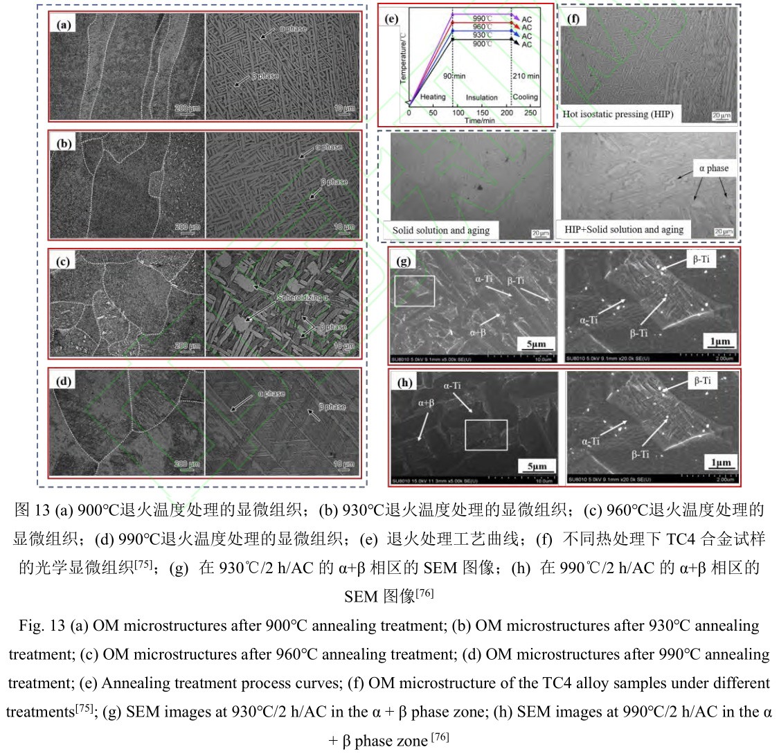 1692107385822363.jpg 15.jpg