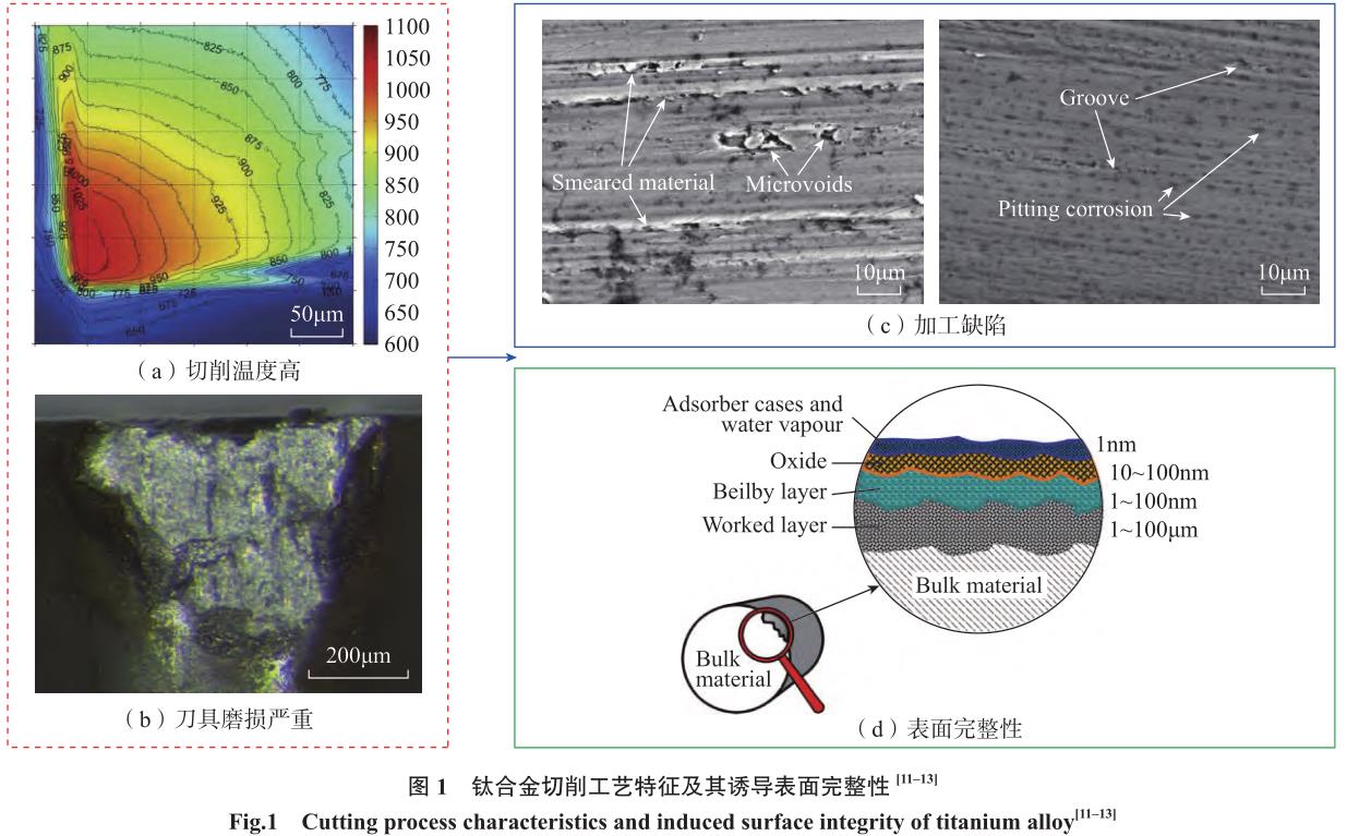 1692265912511933.jpg t1.jpg