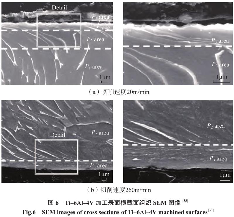 1692265969837975.jpg t6.jpg